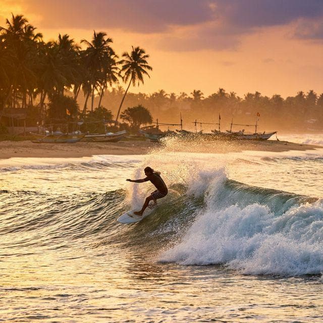 Arugam Bay